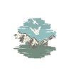 Parachutisme, Parachutisme