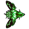 Mother Moth