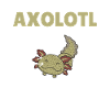 Axolotl Explication Anatomie d’un Axolotl