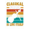 Classical Music Orchestra Musicians