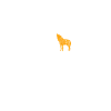 Coyote hunting