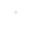Kojotenjagd