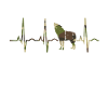 Kojotenjagd
