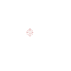 Kojotenjagd