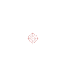Kojotenjagd