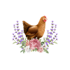 Hühnerhaltung Tierhaltung Geschenk