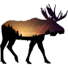 Elch mit Sonnenuntergang