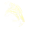 Schneeleopard