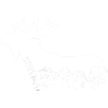 Moose