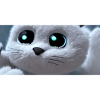 Le chat vous regarde