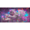 Space Cat