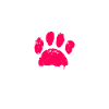 Münsterländer