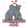 Britisch Kurzhaar Katzen Mama