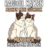 Ragdoll Katzen
