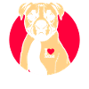 Boxer dog love dog