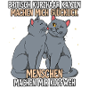 Britisch Kurzhaar Katzen