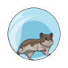 Hamster Hamster Ball