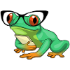 Frog Secretary Glasses Office