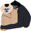 Gibbons