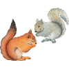 Funny squirrels
