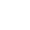 I Am a Revolutionary