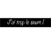J ai trop le sum