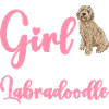 Labradoodle Hund