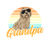 Labradoodle Hund