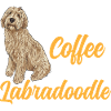 Labradoodle Dog