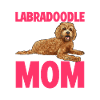 Labradoodle Chien