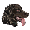 Quaildog