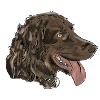 Quaildog