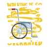 Wheelchair Wheelchair Fun