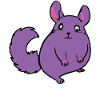 20230115 01T Chinchilla Chonk