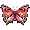 Bunter Schmetterling