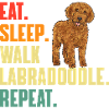 Labradoodle Dog