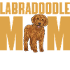 Labradoodle Hund
