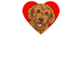 Labradoodle Chien
