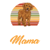Labradoodle Dog