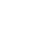Labradoodle Dog