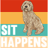 Labradoodle Dog