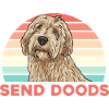 Labradoodle Dog