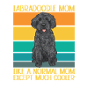 Labradoodle Chien