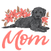 Labradoodle Dog