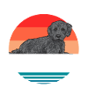 Labradoodle Dog