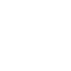 Flying Raven