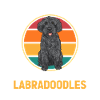 Labradoodle Dog