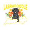 Labradoodle Dog