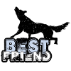 Wolf | lobo Best Friend