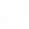 Volley-ball